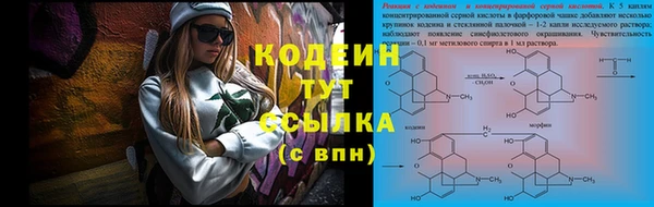 ПСИЛОЦИБИНОВЫЕ ГРИБЫ Баксан