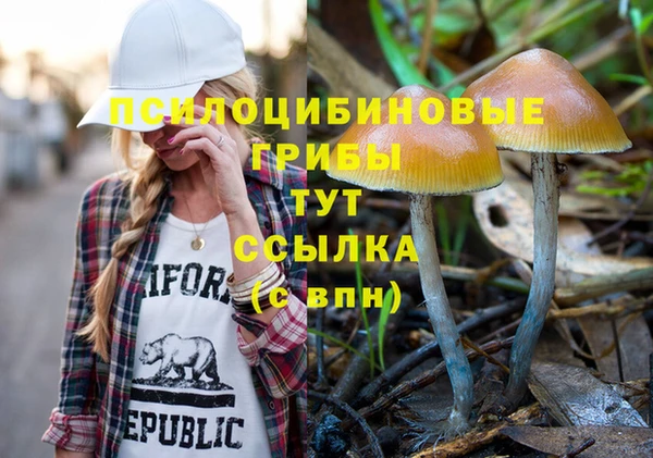 ГАЛЛЮЦИНОГЕННЫЕ ГРИБЫ Балахна