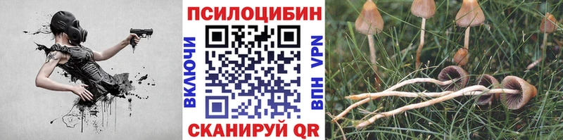 закладки  Олёкминск  Псилоцибиновые грибы Psilocybe 